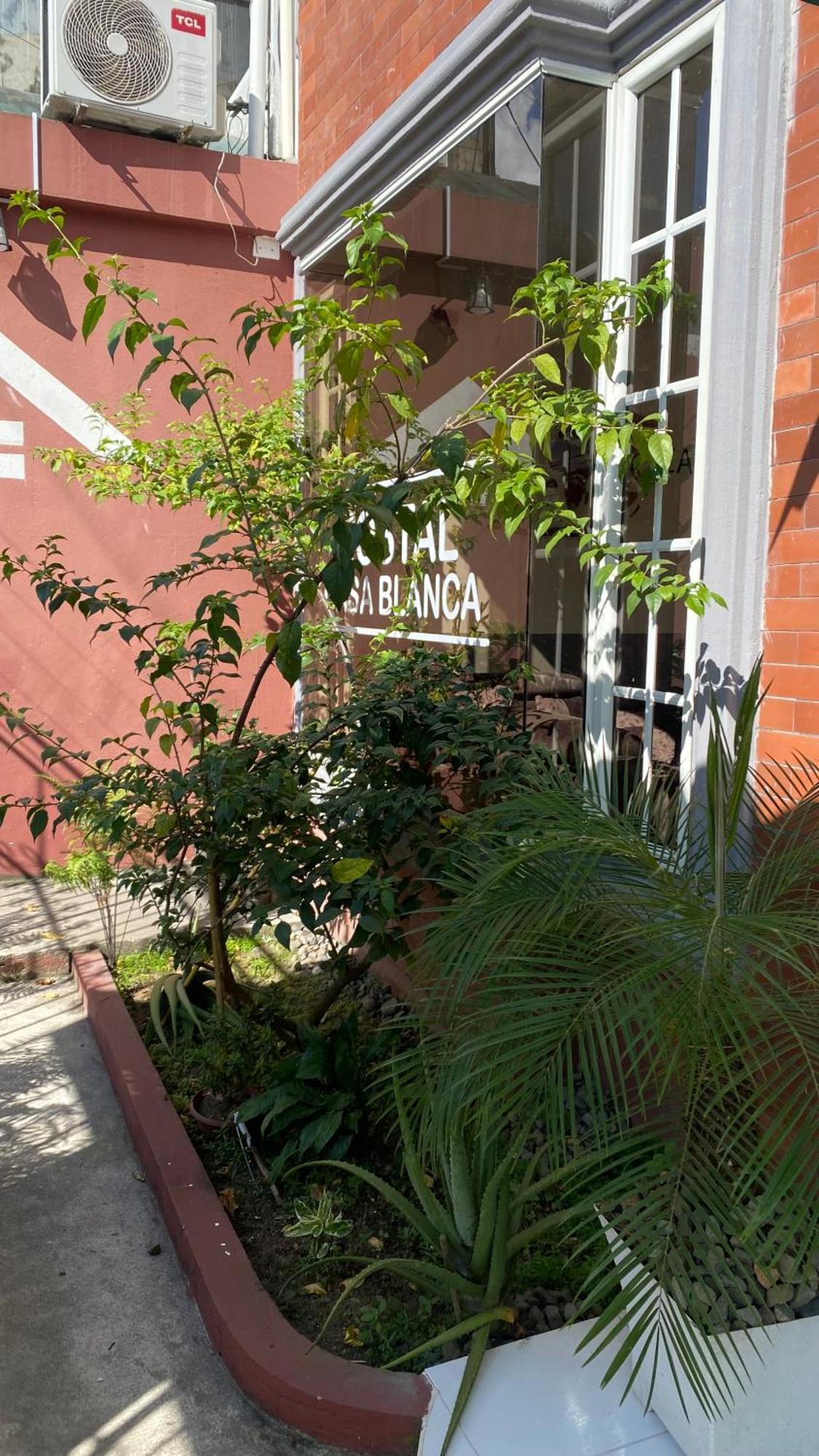 Hostal Casa Blanca Puerto Francisco de Orellana Eksteriør billede